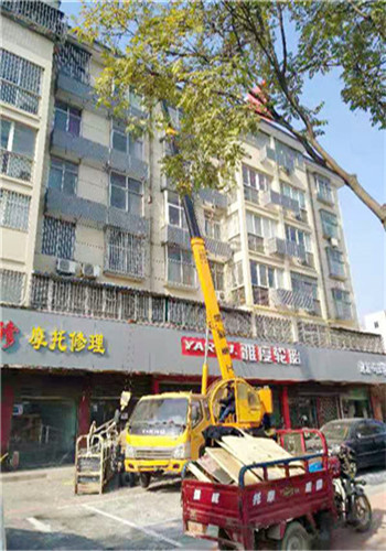 洛阳城市改造